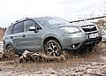 Der neue Subaru Forester. Foto: UnitedPictures/Auto-Reporter.NET